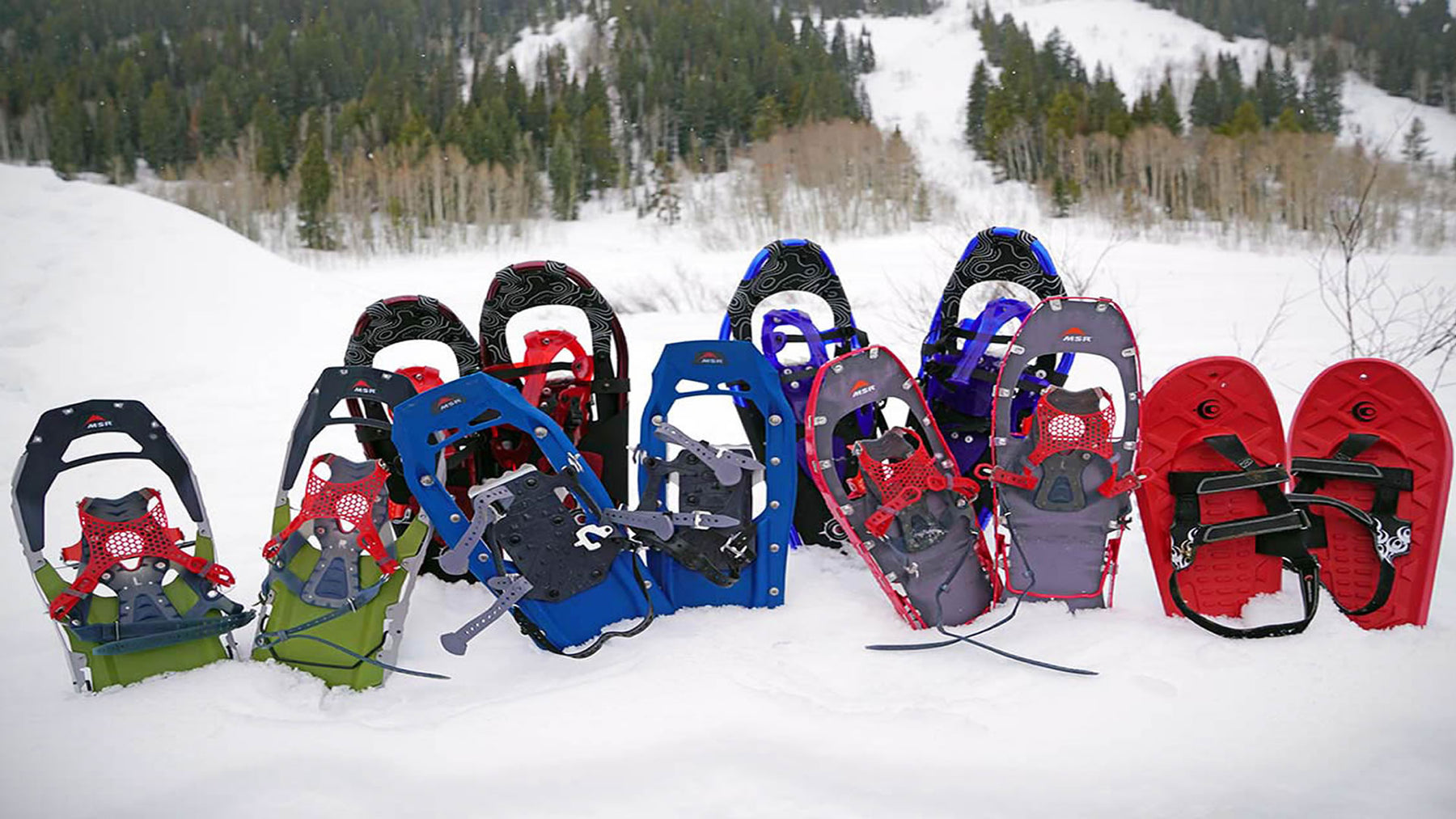 Snowshoe adventures with ICEGRIPPER