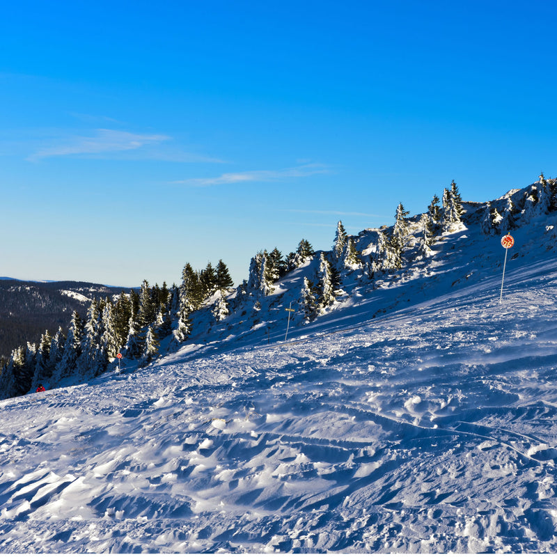 Snowy piste with trees and a clear blue sky at Saint Cergue. One of the sections of Switzerland's Jura Crest Trail, as detailed in the Guide Book of the same name now available at ICEGRIPPER.