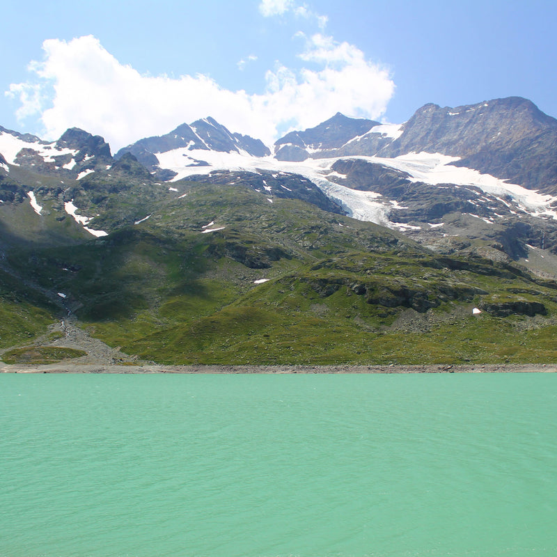 The Tour of the Bernina